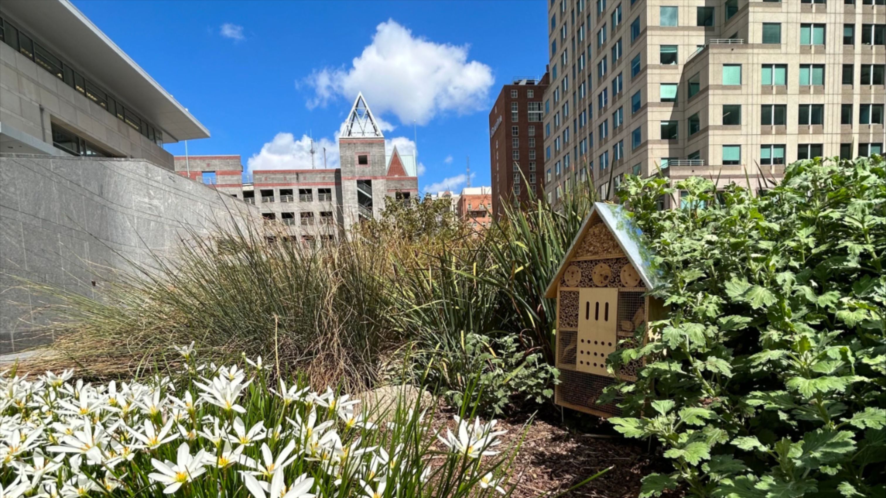 More Info for RCC Blog: Going Green in the Capital City